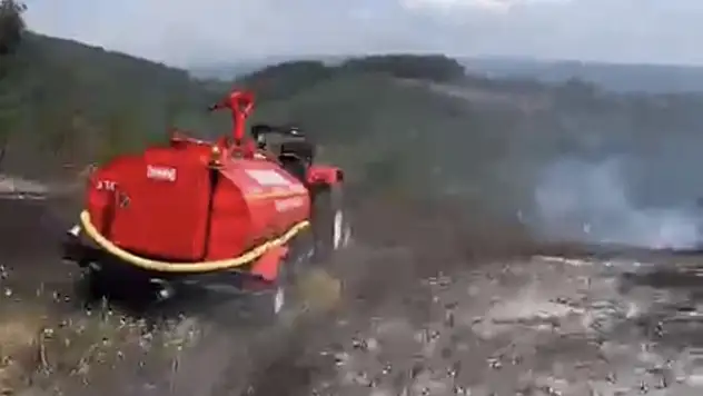 Düzce'de anız yangını ormana sıçramadan söndürüldü