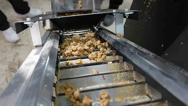 Düzce'de sokak hayvanları için mama üretim tesisi kuruldu