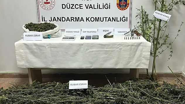Düzce'de uyuşturucu operasyonu: 2 gözaltı