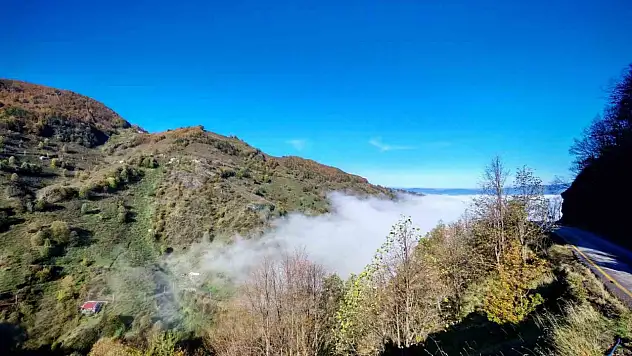 Düzce güne sisle uyandı