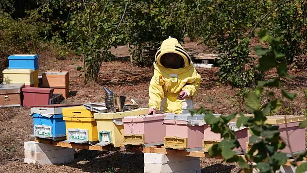 Düzce Üniversitesi mezunlarından uluslararası başarı