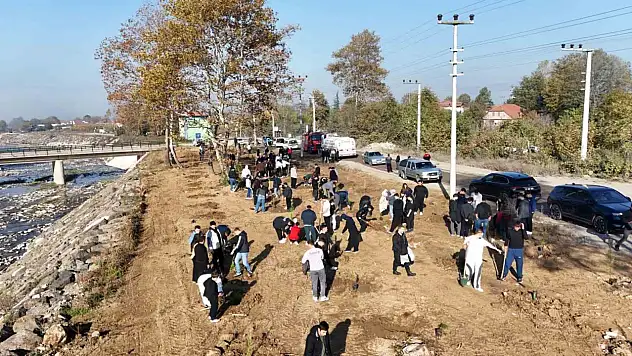 Düzce Üniversitesi'nden yeşil vatan için ağaçlandırma seferberliği