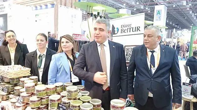 Düzce'yi il il tanıtıyorlar