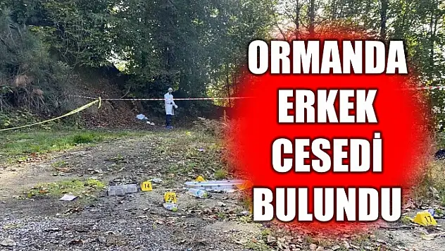 Ekipler harekete geçti