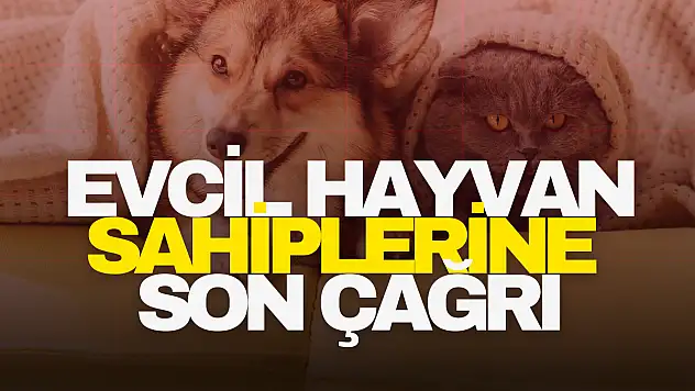 Evcil Hayvan Sahiplerine Son Çağrı