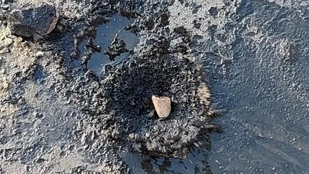 Fabrikaların zehrini kustuğu dere can çekişiyor
