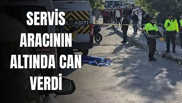 Feci kaza!