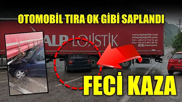 Feci kaza