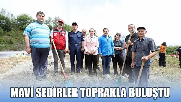 Fidan dikim etkinliği düzenlendi