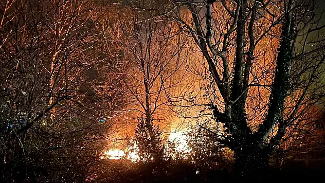 Filyos'ta ağaçlık alanda çıkan yangın korkuttu