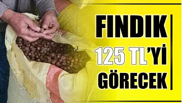 Fındık 125 lirayı görecek