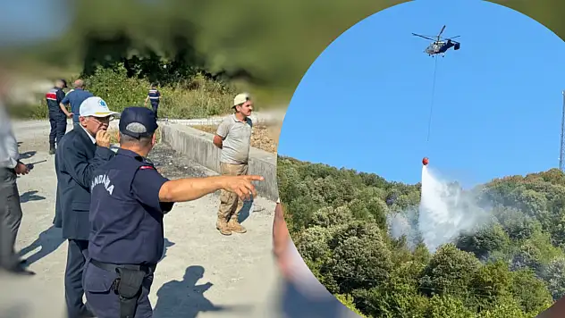 Fındık bahçesinde başladı ormana sıçradı