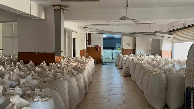 Fındık tüccarı fiyatların yükseleceği tarihe dair beklentiyi anlattı