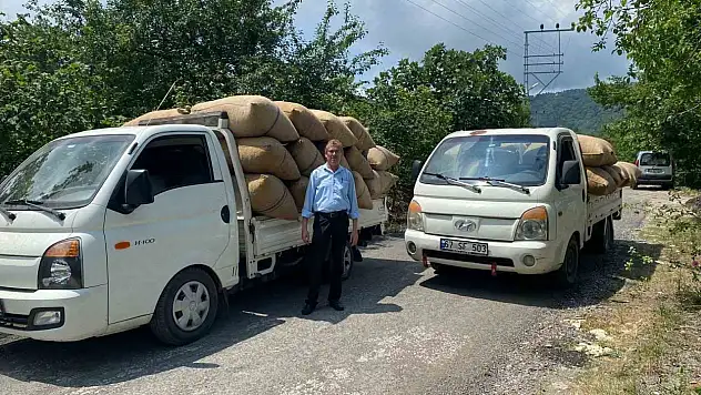 Fındık tüccarından üreticiye kritik uyarı: 'Dalından toplamayın, yere dökülmesini bekleyin'