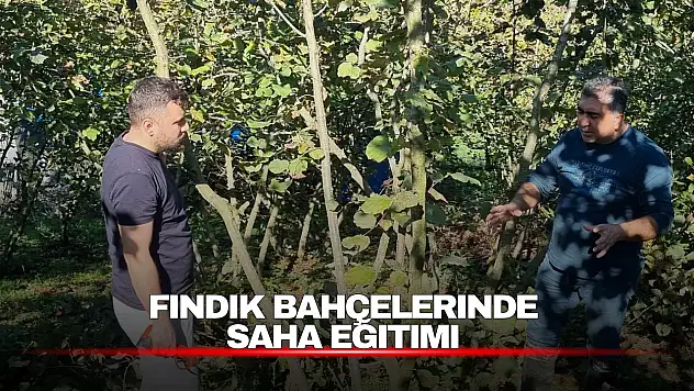 Fındık Üreticilerine Budama ve Kahverengi Kokarca Eğitimi