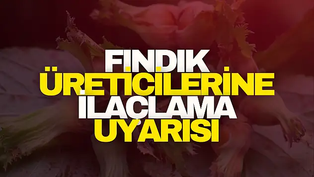 Fındık üreticilerine ilaçlama uyarısı