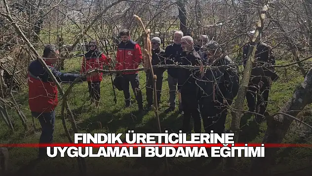 Fındık Üreticilerine Uygulamalı Budama Eğitimi