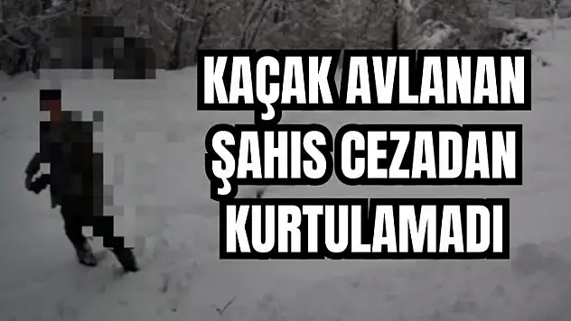 Fotokapana yakalandı
