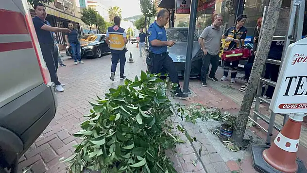 İki ağacı devirip, duvara çarptıktan sonra durabildi