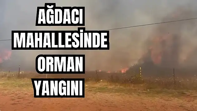 Giderek büyüyor