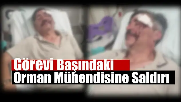 Görevi Başındaki Orman Mühendisine Saldırı