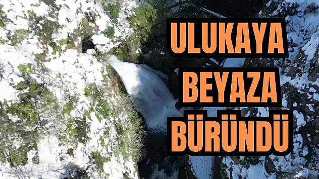 Görsel şölen oluşturdu