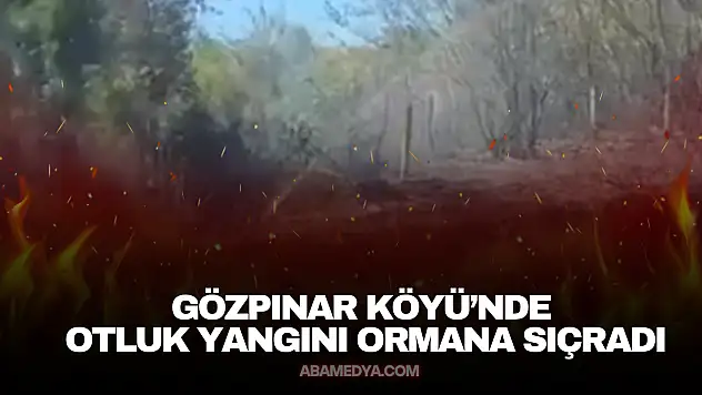 Gözpınar Köyü'nde Otluk Yangını Ormana Sıçradı