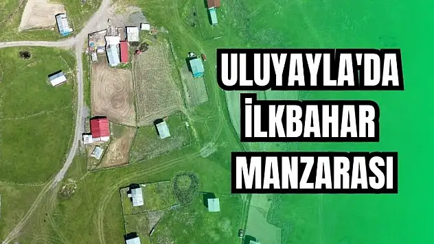 Güzelliği ortaya çıkıyor