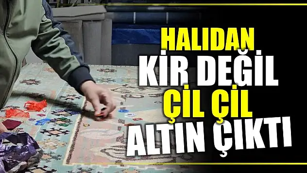 Halıdan çil çil altın çıktı