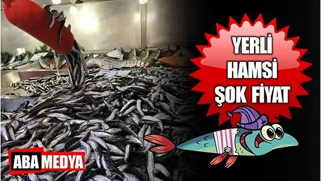 HAMSİ UCUZLADI - BARTIN