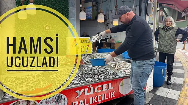Hamsi ilk kez bu fiyata düştü
