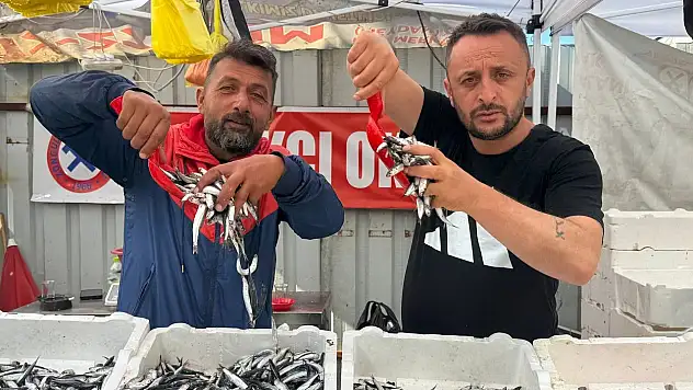 Hamsinin fiyatı 70 liraya indi, tezgahlar şenlendi