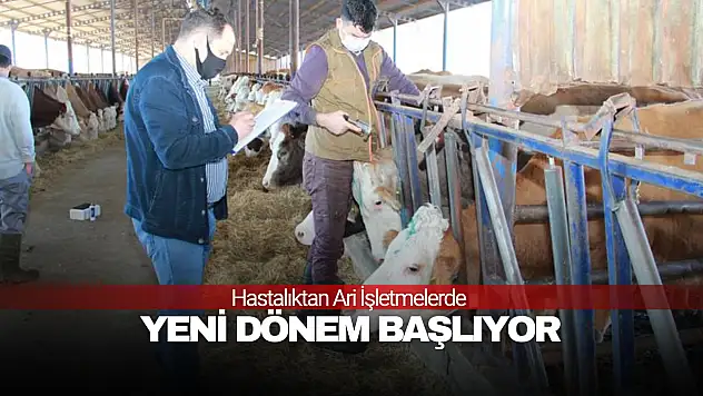 Hastalıktan Ari İşletmelerde Yeni Dönem Başlıyor