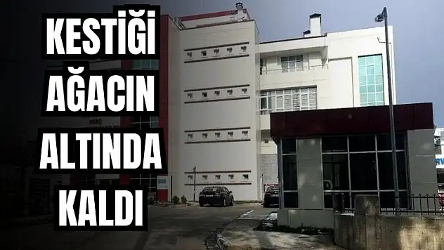 Hayatını kaybetti