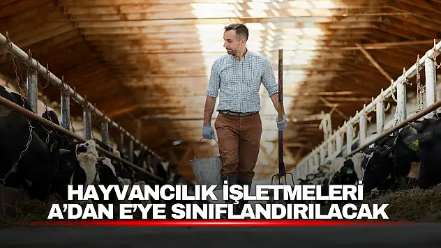 Hayvancılık İşletmelerinde Yeni Dönem