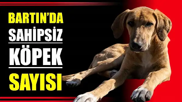 Hepsi tek tek toplanacak