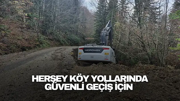 Herşey Köy Yollarında  Güvenli Geçiş İçin