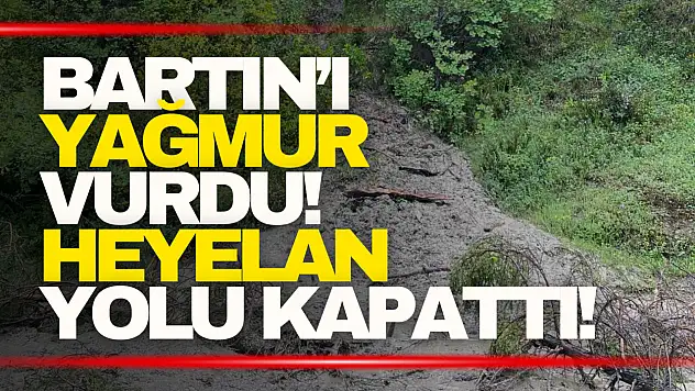 Heyelan Yolu Kapattı, Müdahale Gecikmedi