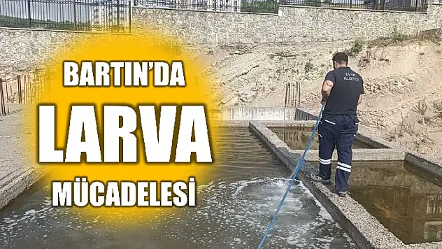 İlaçlama çalışması yapıldı