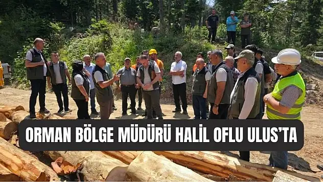 İnceleme ve denetim ziyareti
