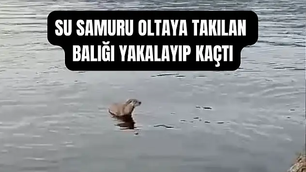 İşte o görüntüler