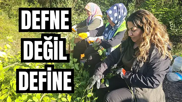 İstişare toplantısı düzenlendi