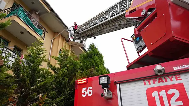 İtfaiyeciler çatılarda kuş yuvası aradı