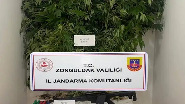 Jandarmadan uyuşturucu operasyonu