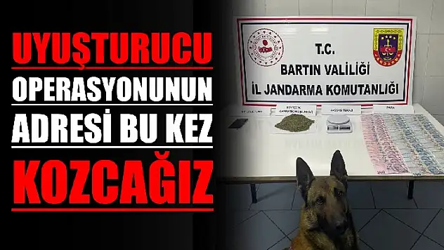 Jandarmadan uyuşturucu operasyonu 