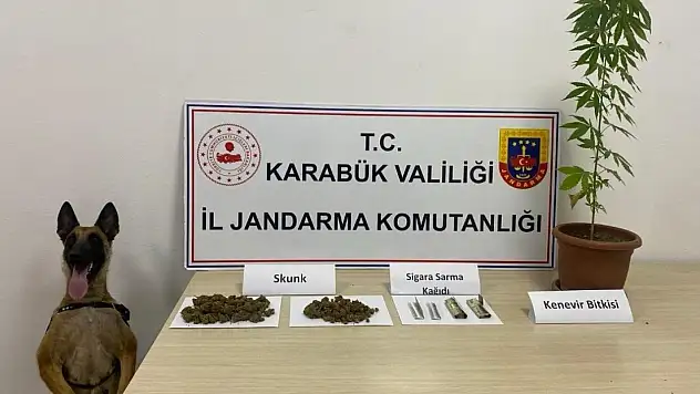 Jandarmadan uyuşturucu operasyonu
