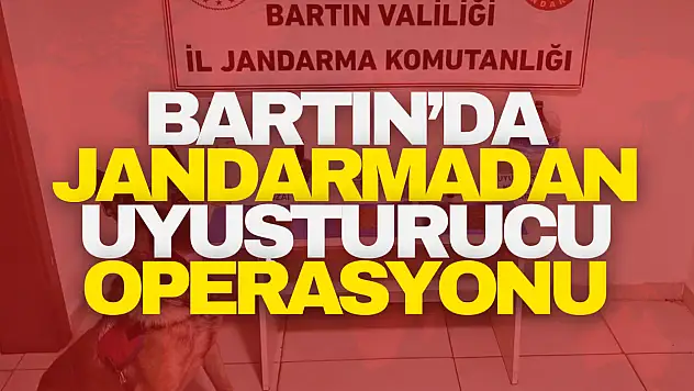 Jandarmadan Uyuşturucu Operasyonu