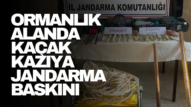 Kaçak Kazıya Jandarma Baskını
