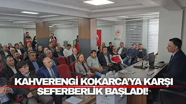 Kahverengi Kokarca'ya Karşı Seferberlik Başladı!