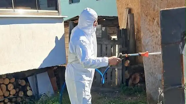 Kahverengi kokarcaya karşı kışlak mücadele